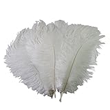 Plumas de avestruz 100% nuevas y de alta calidad.