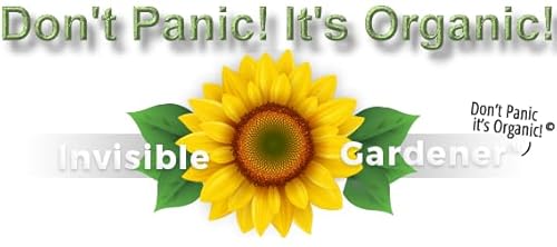 『Dont Panic Its Organic , December 19, 2020』のカバーアート