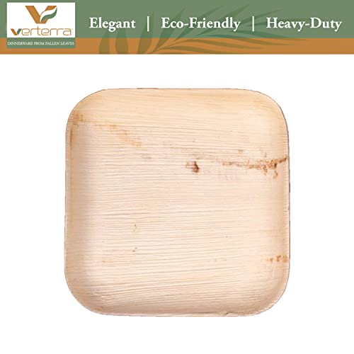 Verterra 6-Inch Palm Leaf Plate, Square Premium Heavy Duty, Eco-Friendly, Dinnerware Like Bamboo for Wedding, Events Party (25-Pack)