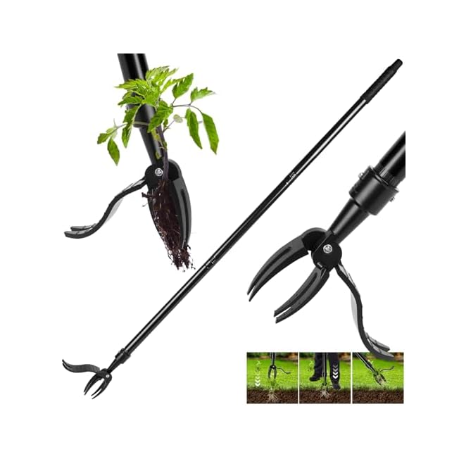 BuyLaunch Manual Weed Puller Tool 4-Claw Steel Head Weed Remover with Long Handle for Garden