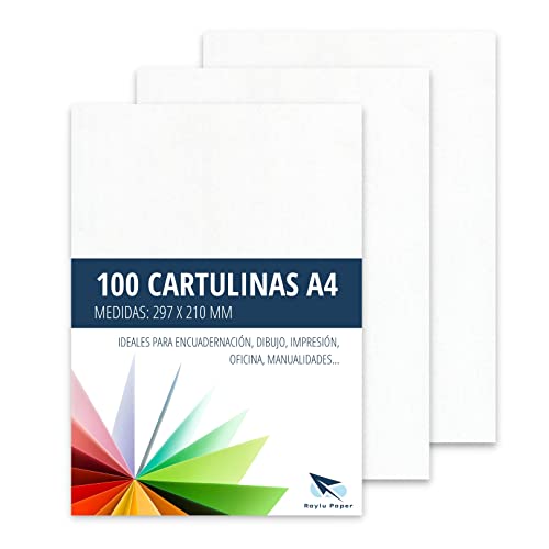 Raylu Paper® Lot de 100 feuilles de papier cartonné A4 Blanc 180 g 210 x 297 mm Idéal pour la reliure, le travail de bureau, le dessin, les loisirs créatifs.