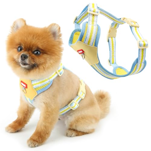 SMALLLEE_LUCKY_STORE  n[lX U ^ ybg   xXg y ߉\  Ȗ͗l bV n[lX Lp S ʋC Ď h~   ȒPE s⏕pCCG[CXS