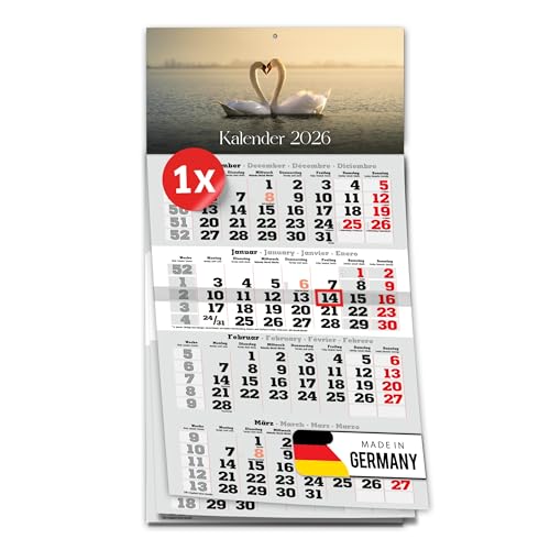 PRIMUS PRINT 4-Monats Einblockkalender 2026 mit Schieber - Wandkalender zum Aufhängen - großer Monatskalender- inklusive Feiertagen - verschiedene Motive verschiedene Sets [ 1x Schwäne ]