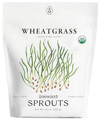 Organic Wheatgrass Seeds (16 oz) &ndash; Non-GMO, Heirloom Seeds for Sprouting and Microgreens