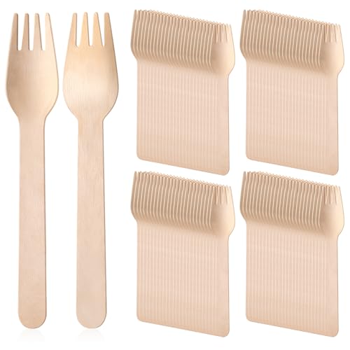 500 Pack Compostable Wooden Forks