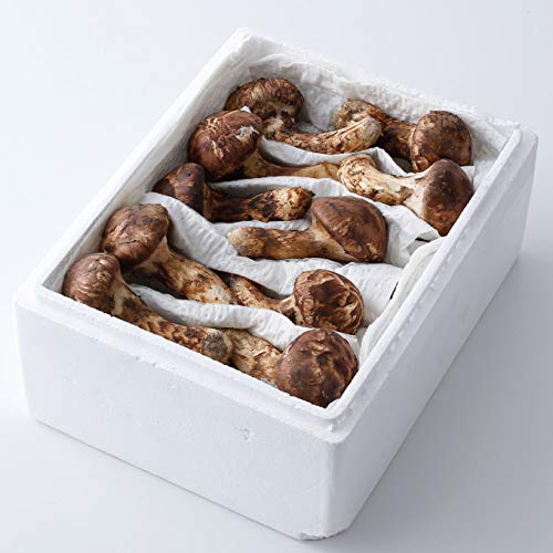 Amazon | 松茸 訳あり 大きさおまかせ 約1kg 産地厳選 アメリカ トルコ  