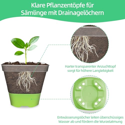 BEIUEN Pack of 10 8 cm Anzuchttöpfe Transparent with Silicone Base. Reusable Plastic Square Plant Pots,Transparent Plant Pots for Succulents, Seedlings