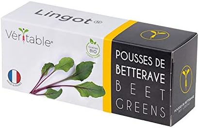 Lingot® Organiczne kiełki buraków