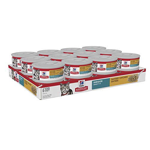 Best Hills Science Diet Cat Food in 2020 - Ratings Prices Products 