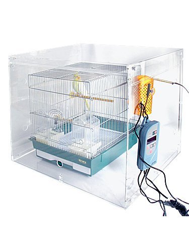 9992176yMore StylezANP[WP[XWIDEE܂ݎXL/465IEp