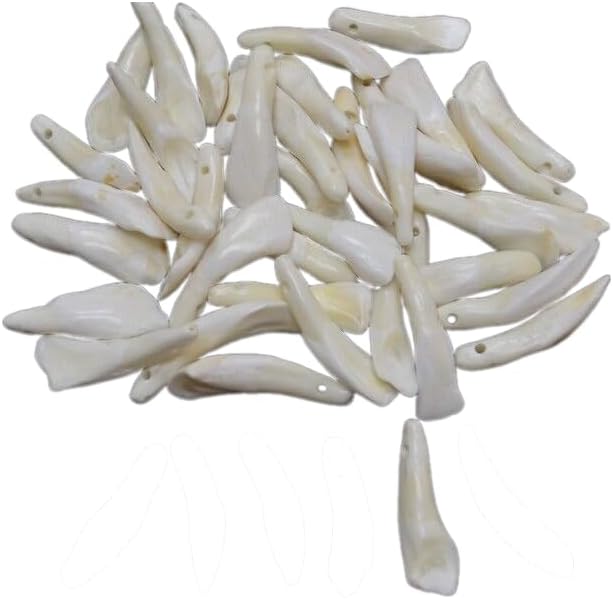 20 Drilled White Teeth Tooth Beads Pendants Jewelry Crafting Art Beads Charms for Handmade Friendship Jewelry Bracelet Necklace DIY Crafts Beading Supplies Jewelry Making