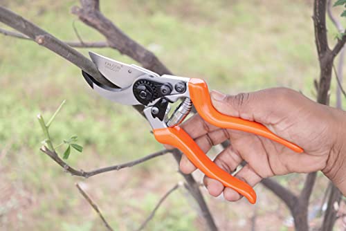 Falcon Pruning Secateur (Multicolour, 225 mm)