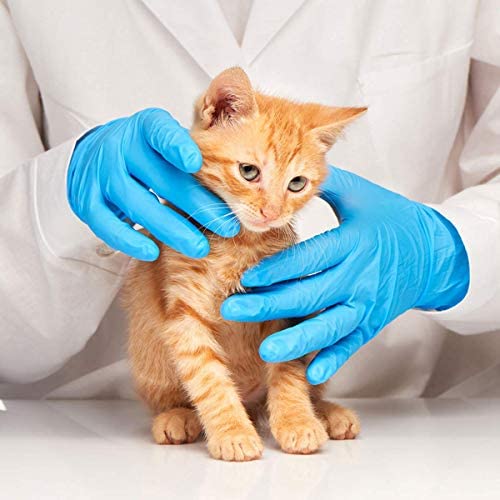 Basic Medical Blue Nitrile Exam Gloves, XS - Latex-Free & Powder-Free - NGPF-7000(Case of 1,000), X-Small - Thumbnail 5