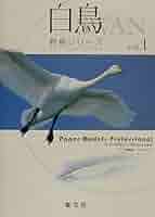 白鳥　ページ Amazon.co.jp: 白鳥 (野鳥シリーズ 1) : 穴澤 郁夫: 本