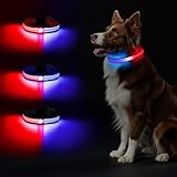 Leuchtend Halsband, LED Hundehalsband, Leuchthalsband Hund Aufladbar, Leuchtband Einstellbar Wasserdicht mit 2 Lichtmodi Hunde Leuchthalsband für Kleine Mittlere Große Hunde Nachtspaziergänge