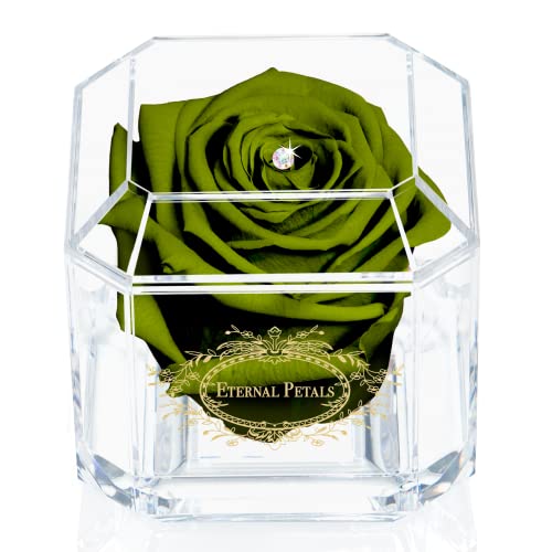 Eternal Petals A 100% Real Rose That Lasts Years, Handmade in UK - Gold Solo with A Multicolour Crystal (Dark Green)