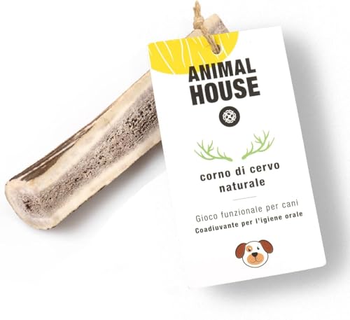 Animal House - Corna di Cervo Premium per Cani Sezionate - 100% Naturali e Resistenti - Migliora l'Igiene Orale - Adatte a Tutte le Taglie - Cruelty-Free (XS)