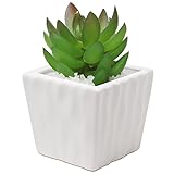 Modern Home Decor Ribbed Design Small White Ceramic Succulent Plant Container Mini Planter Pot - MyGift
