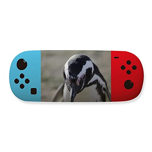 Étui de rangement pour lunettes pingouins antichoc et anti-rayure à coque rigide