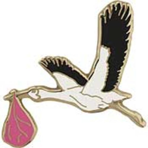 Stork with Baby Girl Pin 1"