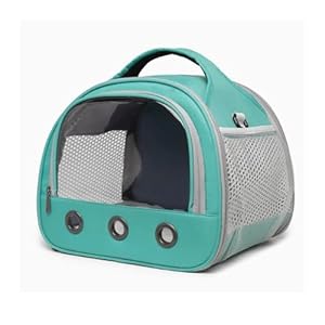 LICONG-2020 Tragbare Vogeltragetasche Türkis