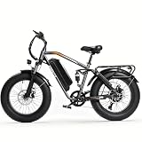 ESKUTE M300F 20 x 4.0 Full Suspension Ebike