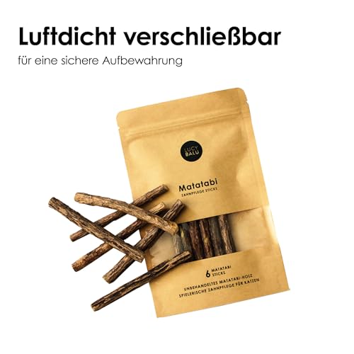 LucyBalu® 6x Matatabi Sticks für Katzen | Katzen Zahnpflege Natur |Kauknochen für Katzen Mundgeruch | Katzen Sticks aus Matatabi Holz | Katzen Zahnbürste | Matatabi Katzenspielzeug Selbstbeschäftigung