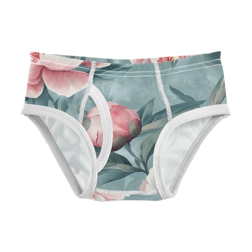 ODAWA Peonies Pastel Blue Tag Free Toddler Cotton Underwear, Boys Underwear 2T