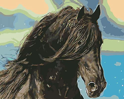 Kit broderie au diamant cheval noir cadeau amusant adultes pour anniversaire et loisirs créatifs