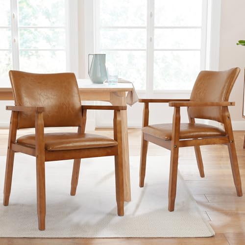 NOBPEINT Mid-Century Chair