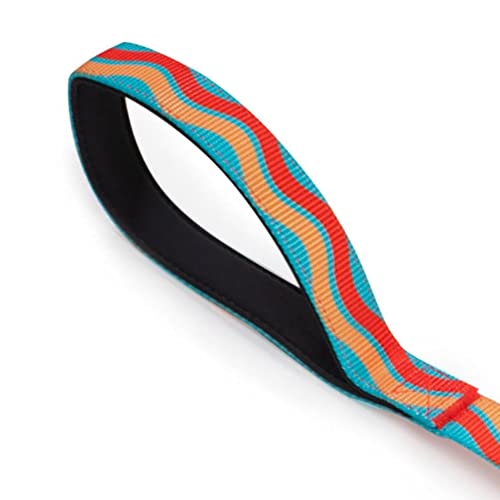 Guia Pet para Cachorros com Alça Emborrachada, Petgram, Premium Party G - 142cm de comprimento