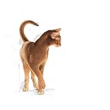 ROYAL CANIN Aroma Exigent | Doppelpack | 2 x 400 g | Alleinfuttermittel für besonders wählerische Katzen | Ab dem 12. Monat | Kann dabei helfen die Harnwegsfunktion zu unterstützen