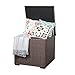 Patiorama Outdoor Storage Box, Brown Wicker Patio Cushion Storage Bin Deck Box, 88 Gallon