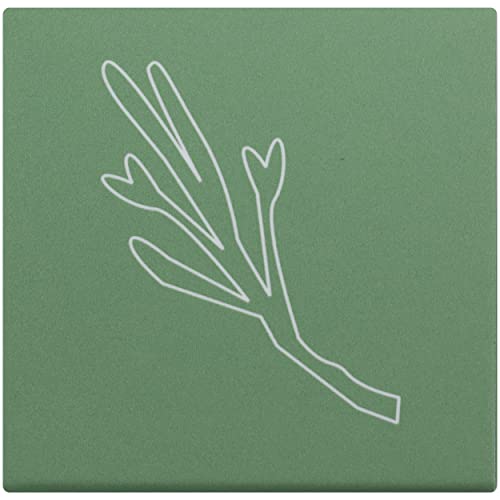 Cocokind Organic Sea Moss Exfoliator #TOP3