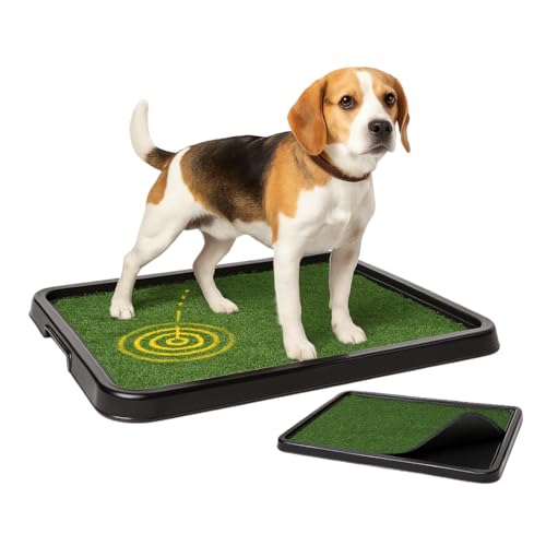 Sanitário para Cachorros 57x43cm – Grama Sintética Lavável e remo...