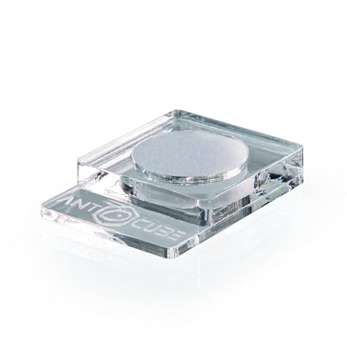 ANTCUBE Napf klar 1x20 - Schwamm für Insekten