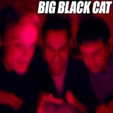 Big Black Cat