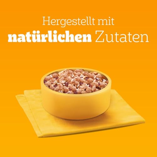 PEDIGREE DOGCARE CAN Wet (Poultry & Rice) Chunks IN LOAF JUNIOR 12 x 800G Single Standard