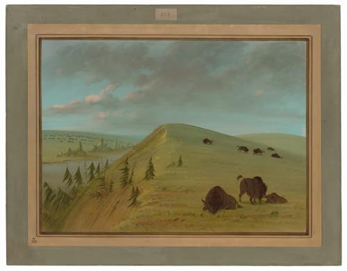 Toile George Catlin Cedar Bluffs Peinture Impression d'Art Haut de Gamme 60x90