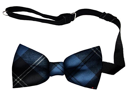 Noeud papillon en laine écossaise Ramsay Blue, le cadeau idéal pour homme