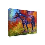 Wrapped Canvas Wall Art - Marion Rose 'Bay Mare I' Wall Art for Living Room, Bedroom, or Office Décor - 35x47