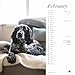 Carousel Worldwide, Country Living 2026 Wire-o Wall Calendar