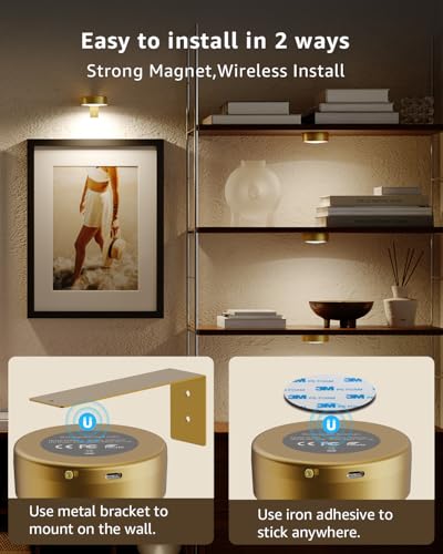 RGB USB Rechargeable Picture Lights, Gold 2600mAh Battery Operated Art Lights for Paintings Wireless Light Over Picture Frame Cordless LED Gallery Wall Light Remote Spotlight for Poster Photo Artwork