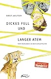 Minerva Verlag