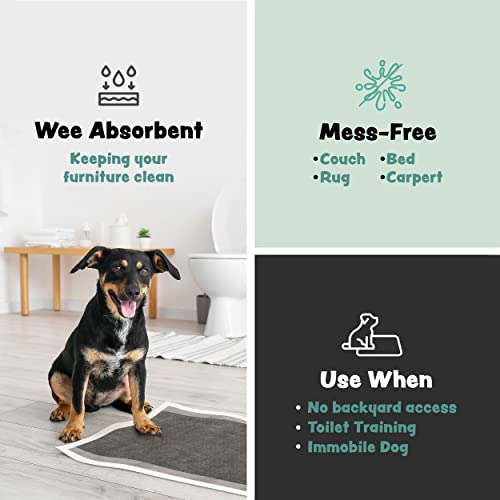 Image of Disposable Puppy Pads Potty Training - 25 Activated Charcoal Pee Pads for Dogs with Attractant - Wee Wee Absorbent, Odor Neutralizer Dog Pads - Five Layered Pet Potty Pads - 23 inch x 23 inch