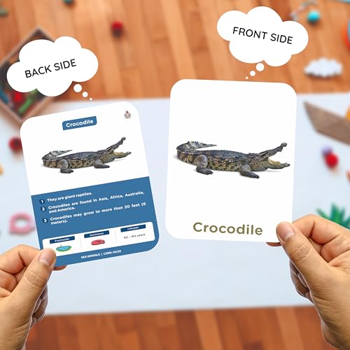Image of SPARTAN KIDS Sea Animals Flash Cards for Kids Cognitive Skills | 27 Early Learning Flash Cards Easy & Fun Way of Learning 1 Year to 6 Years Babies