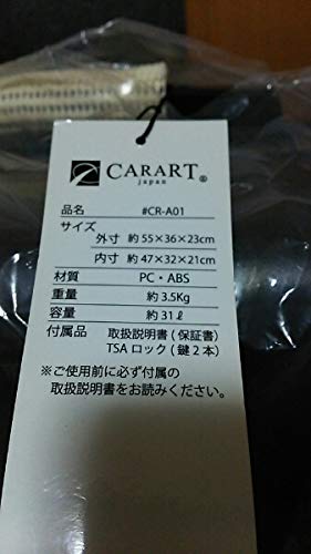 Amazon.co.jp: レア 希少品 ジャグラー 北電子 キャリーバック スーツ