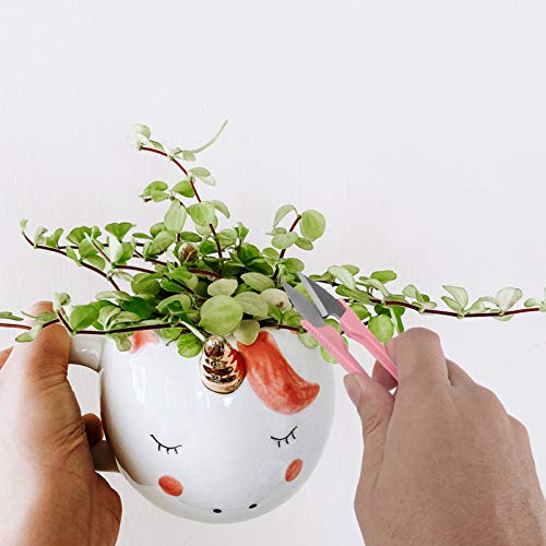 Yardwe 16 peças de ferramentas de plantas suculentas mini ferramentas de jardim de fadas para planta