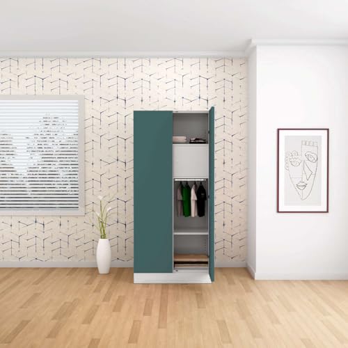Interio by Godrej Slimline 2-Door Steel Almirah/Wardrobe(Textured Sea Pine)