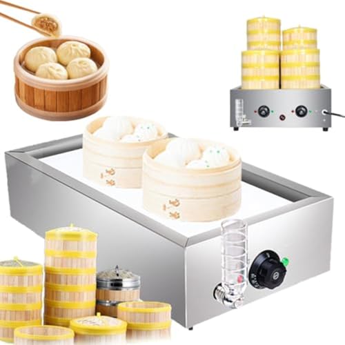 Cuiseur vapeur électrique à 2 trous pour buffet avec température réglable de 30 à 110 ℃